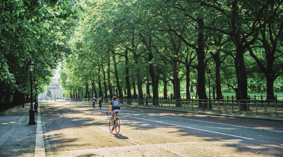 cyclist at hyde park calm