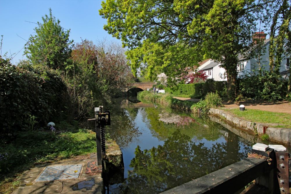 basingstoke canal surrey